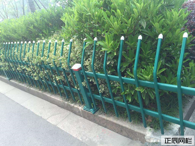 20170419132624_0.jpg
