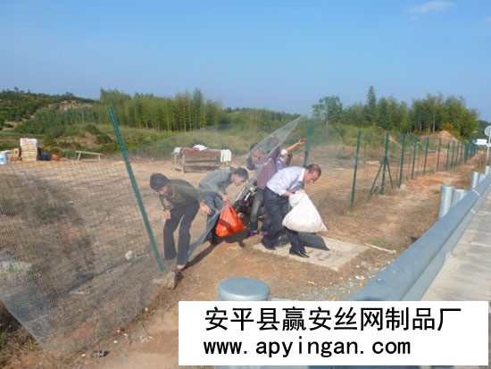 公路護欄網