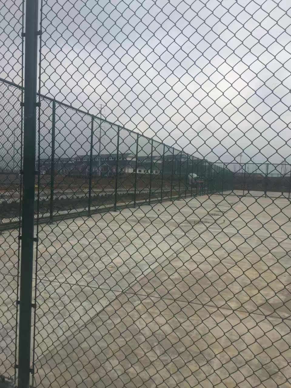 體育場圍網