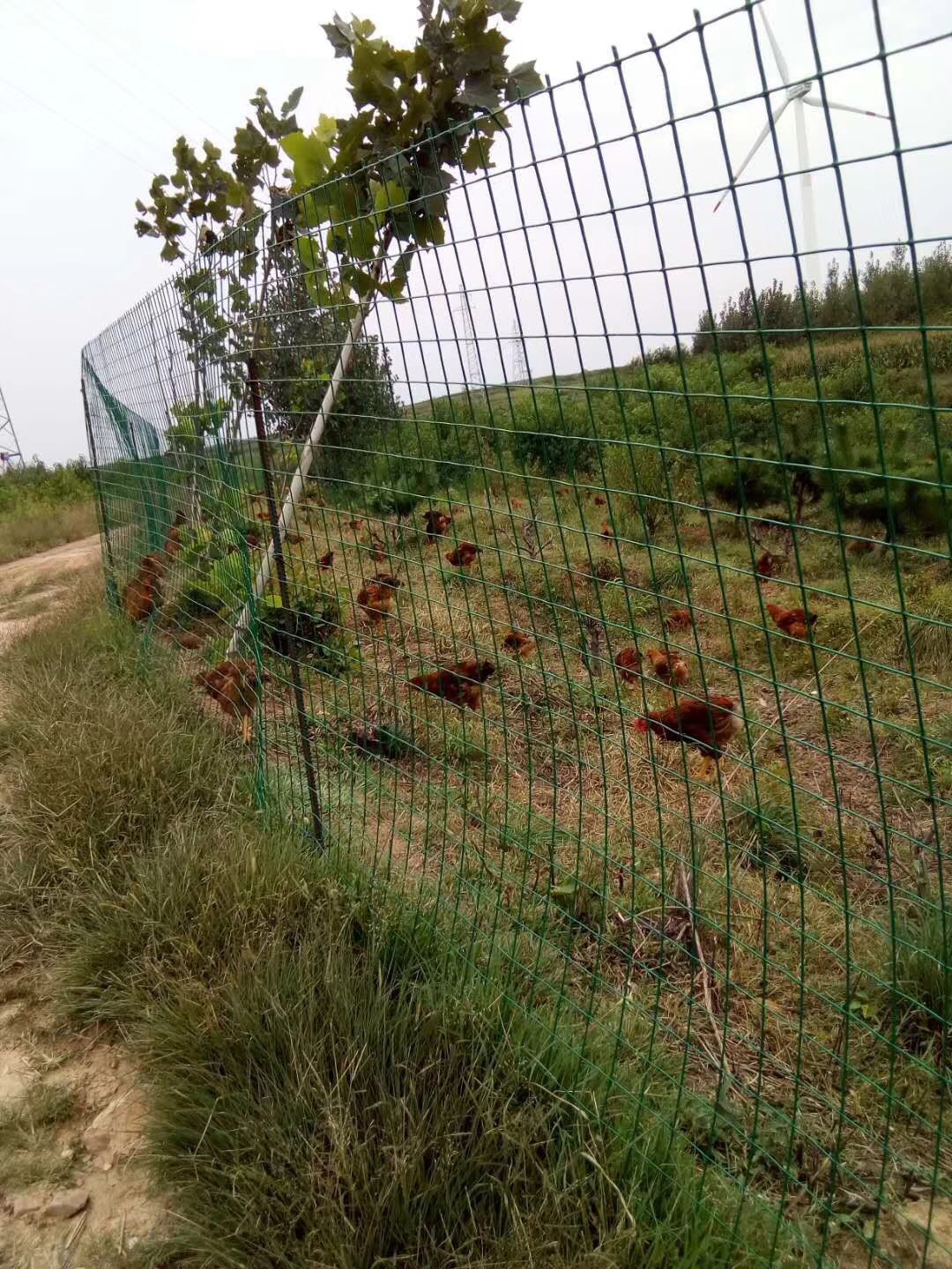 養殖圍欄網