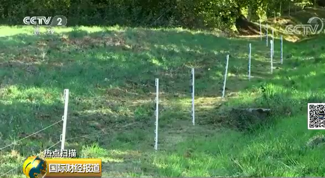 電圍欄網