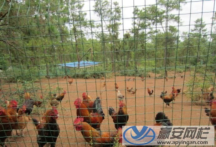 養殖圍欄網