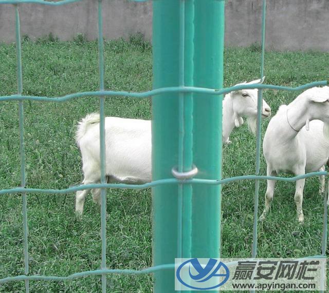 養殖圍欄網