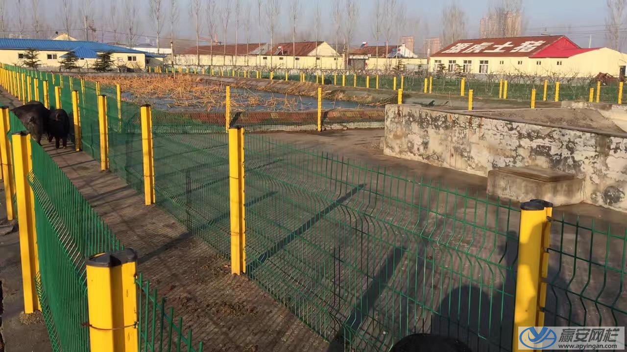 養殖場鐵絲網