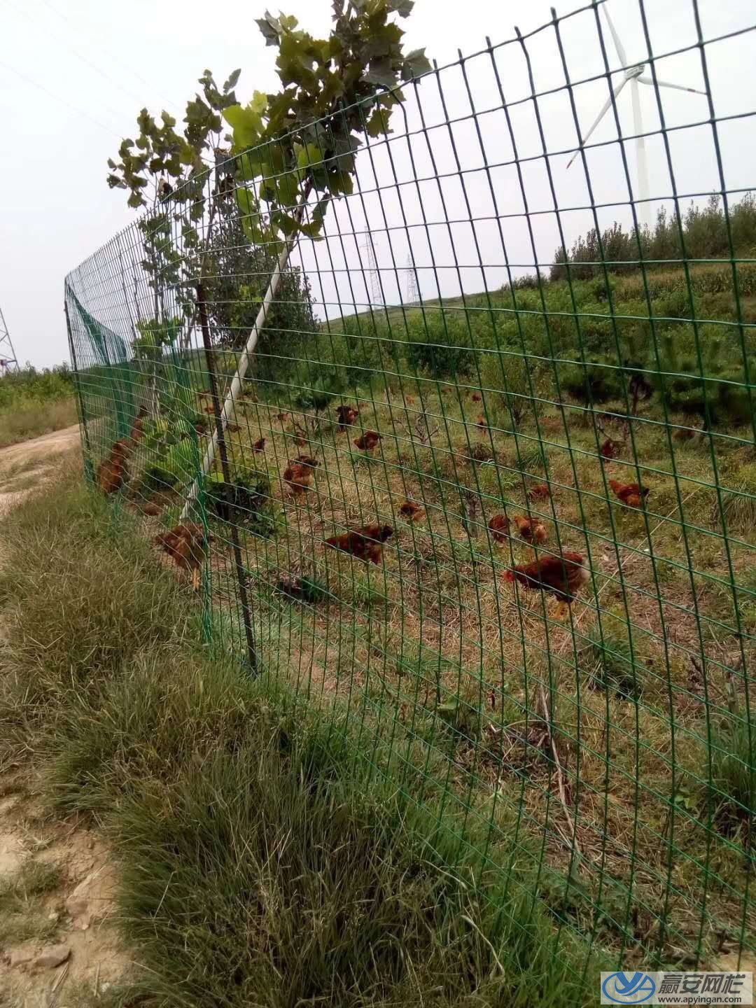 雞場護欄網