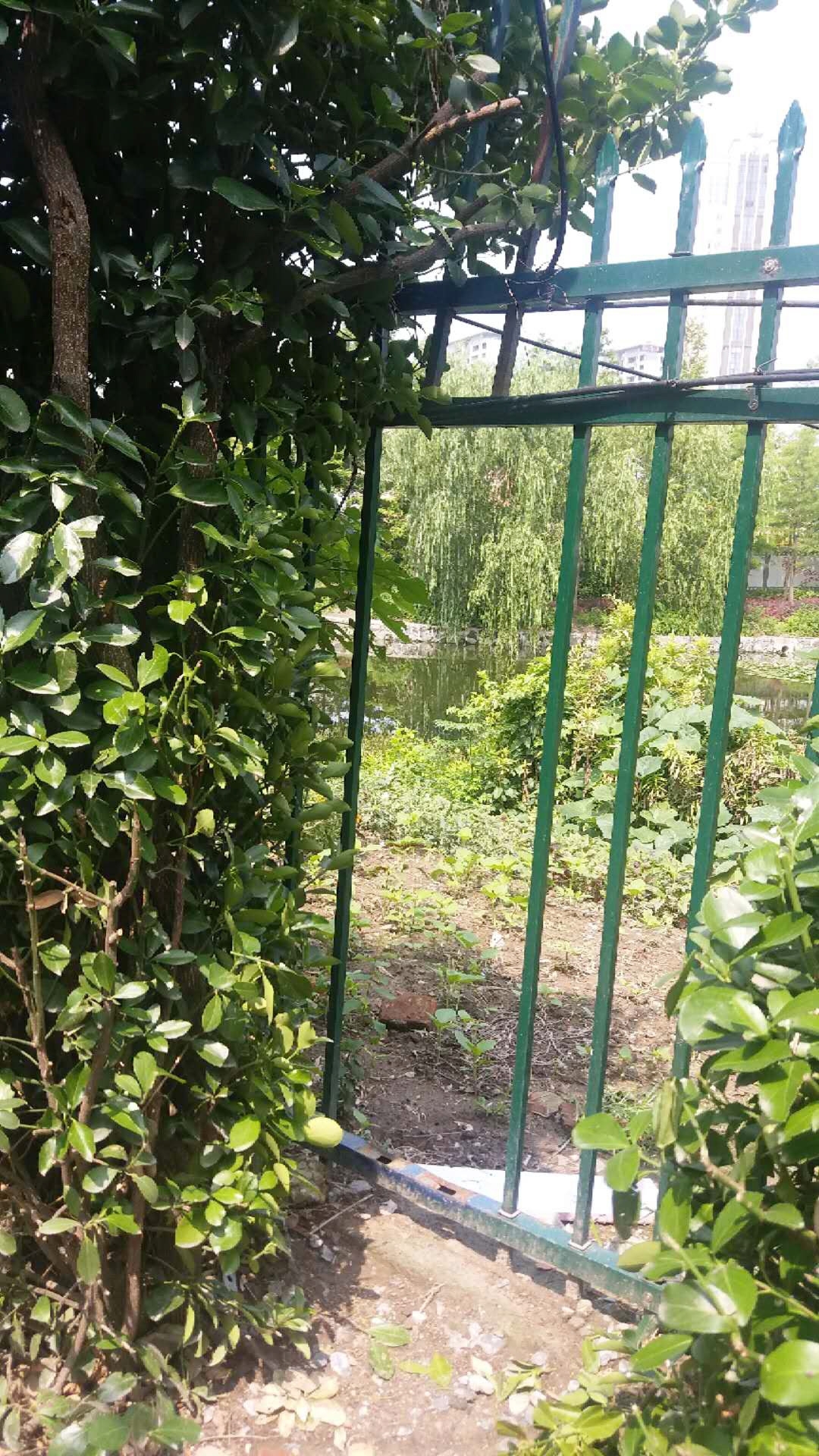 沿河鋅鋼護欄