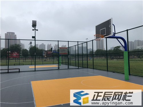 體育場圍網