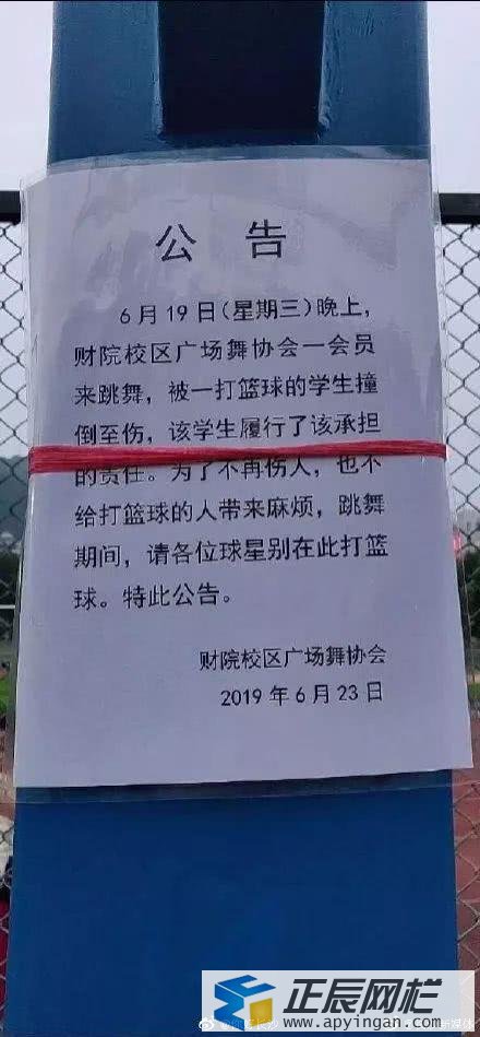 籃球場圍網