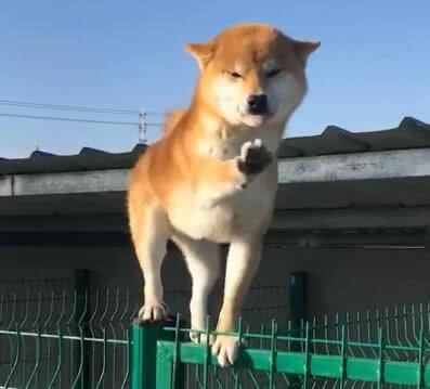 護欄網