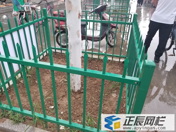樹木保護圍欄