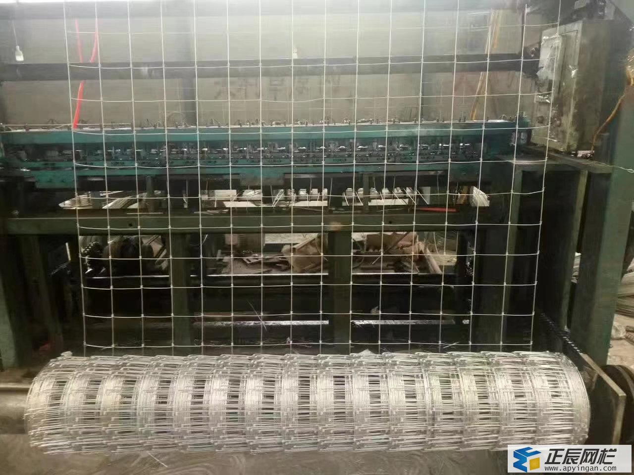 養鹿圍欄網
