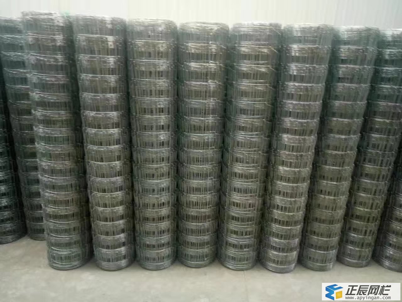養鹿圍欄網