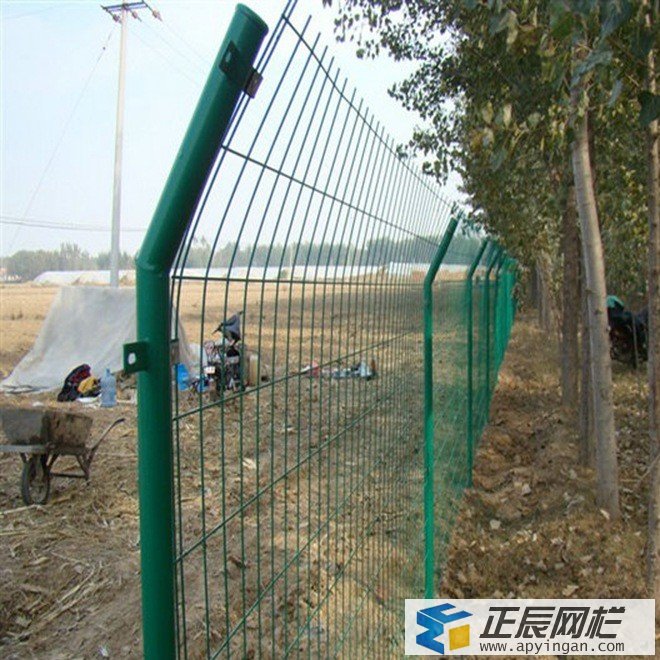 綠色隔離網