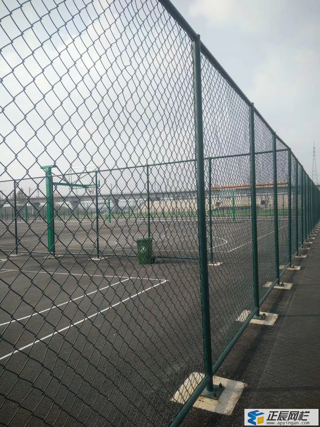 綠色隔離網圖片