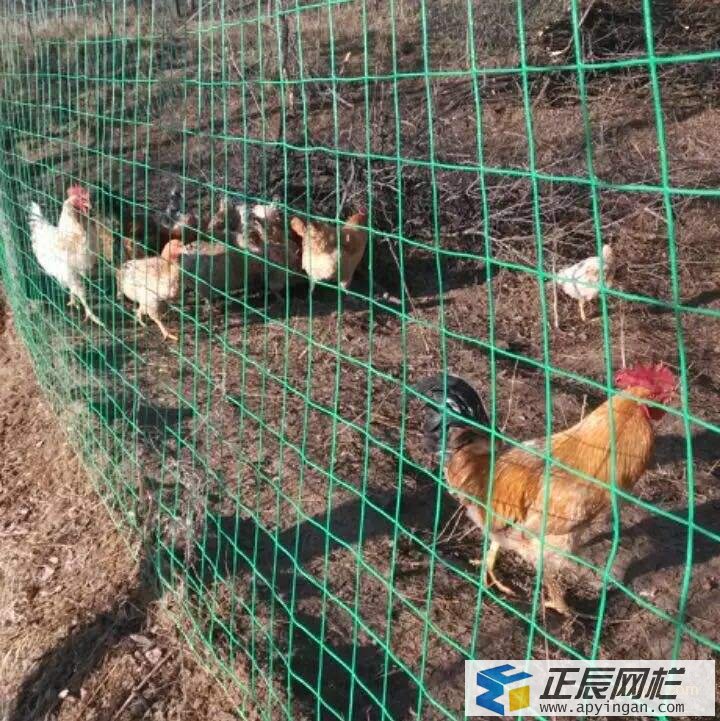 護欄網價格