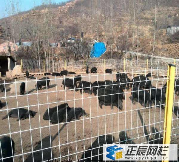 養殖場圍欄