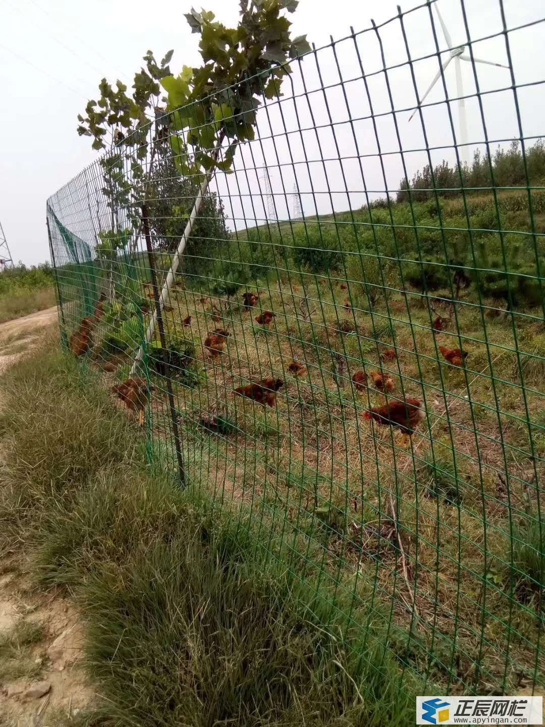 養殖圍欄網