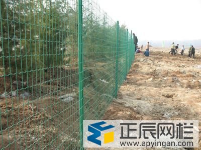 果園護欄網