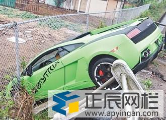 勾花護欄網