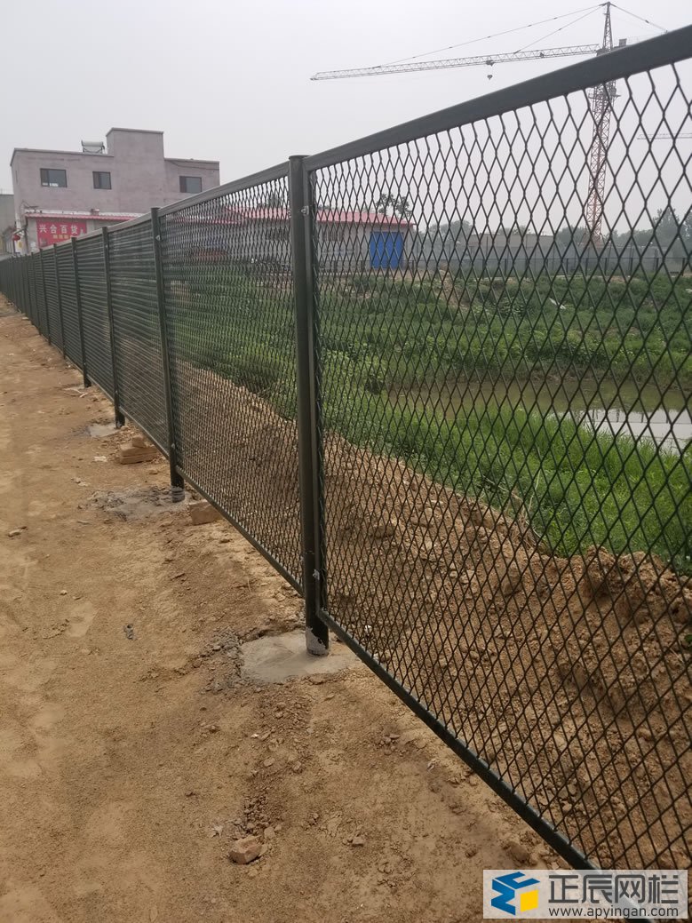 綠色隔離網
