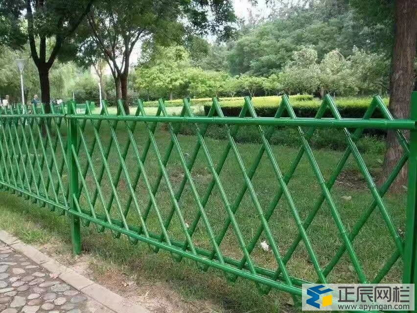 綠色隔離網