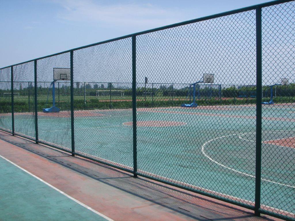 球場圍網價格