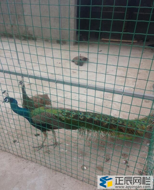 養殖護欄網