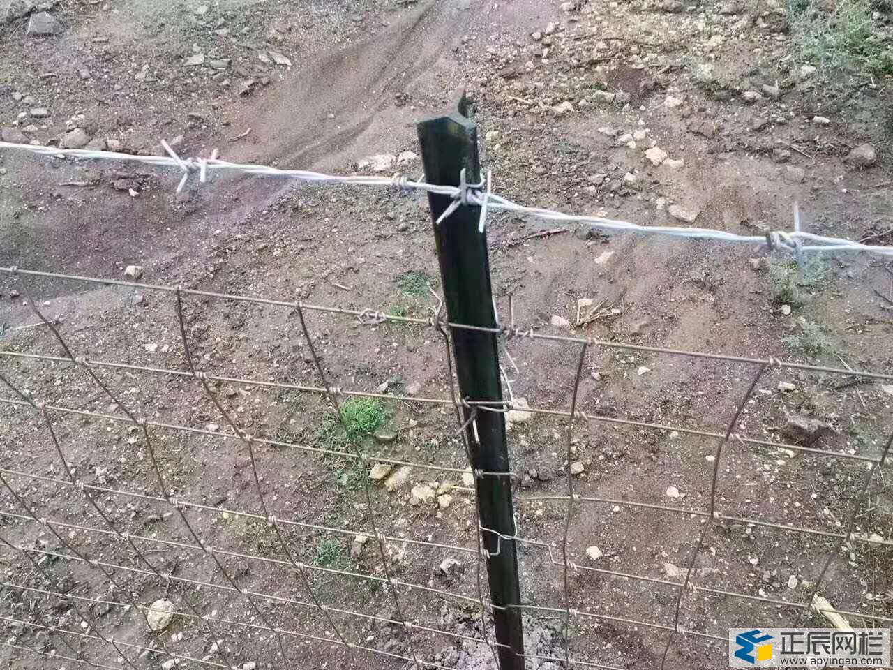 護欄網