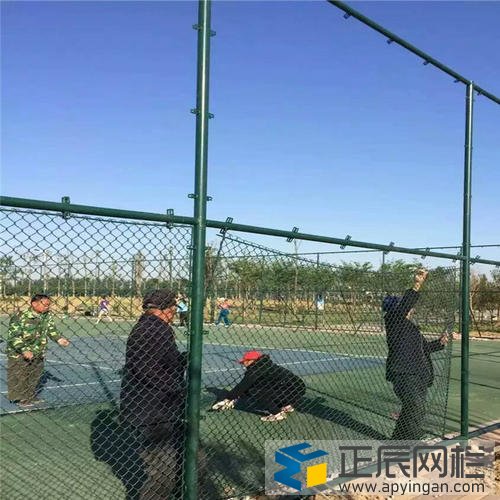 球場(chǎng)圍網(wǎng)