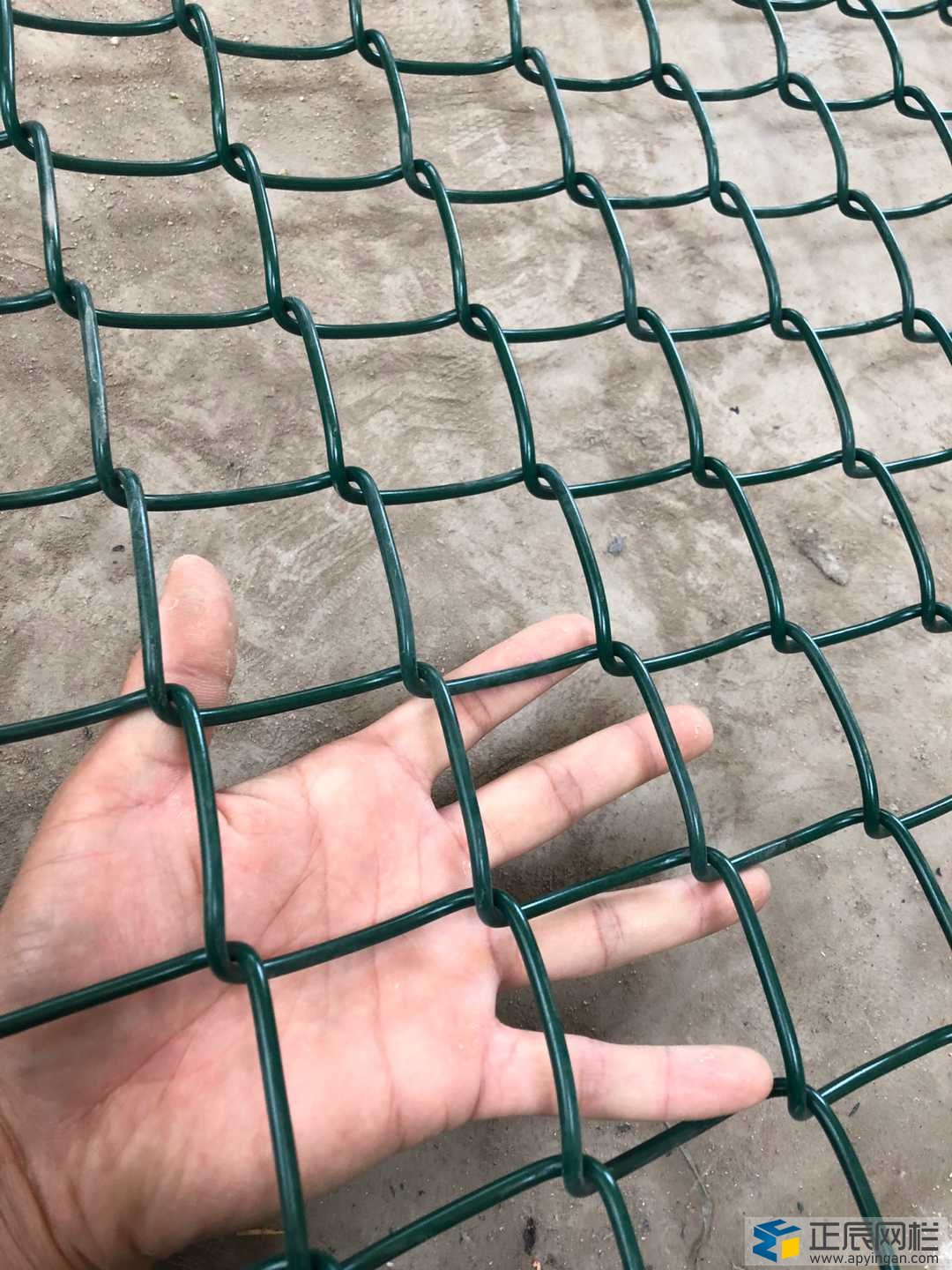 籃球場圍網